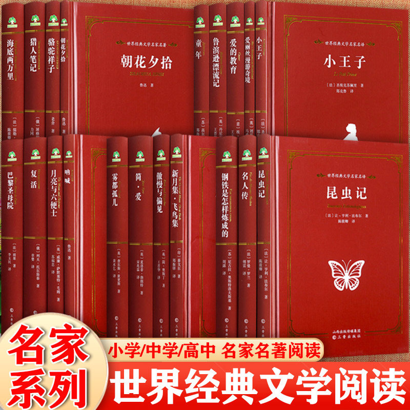 【任选】中小学生课外阅读世界经典文学名著爱德红皮小王子朝花夕拾钢铁是怎样炼成的简爱等暑寒假衔接阅读影响孩子一生的课外书
