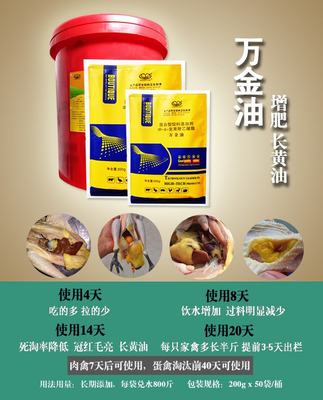 万金油鸽子专用鸽子肥美 乳鸽成活率高 节省饲提前出栏用育肥素