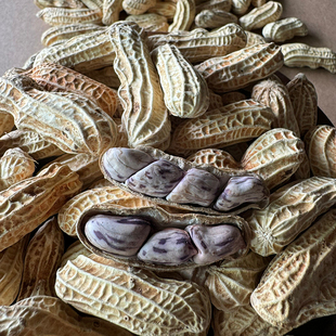 龙岩七彩花生水煮湿烤花生原味带壳25年新货咸干休闲食品散装