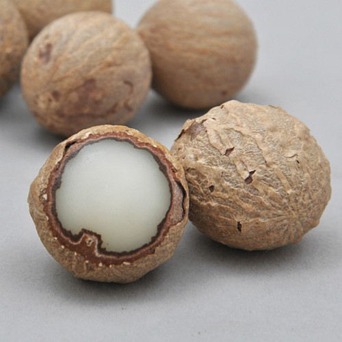 白玉菩提根新款菩提子白果原果直径11-30mm 菩提根大果原料论斤卖 - 封面