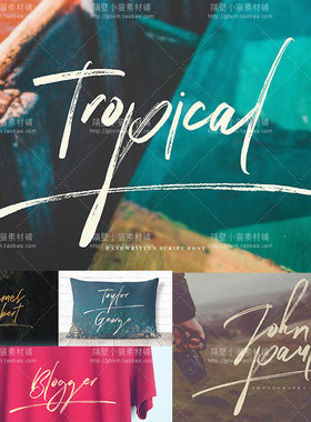 PS飘逸手写花体英文字体 LOGO水印海报平面设计字体素材 [FT246]