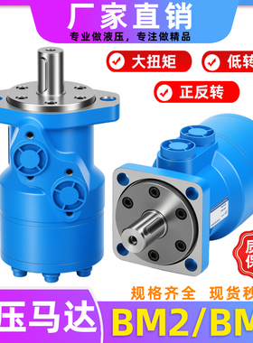 液压马达低速大扭矩BM2/BMR125/63/80/100/250/315/400/36 油马达
