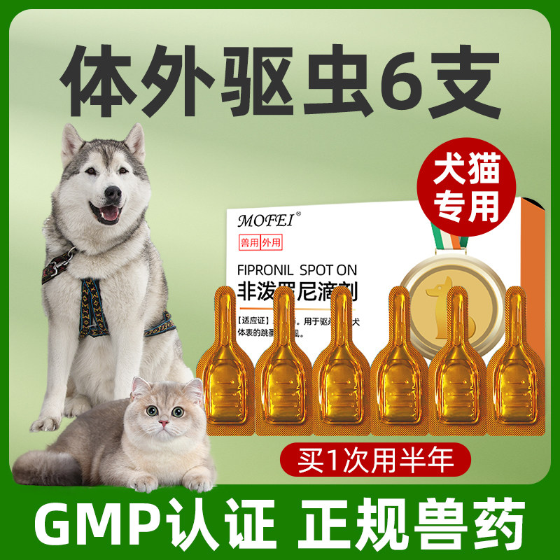 6֧ mofei����ҩ����è��ר��