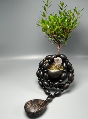 芽庄黑棋虫漏沉香随型项链情侣款男女士毛衣链药香清甜好闻佛珠