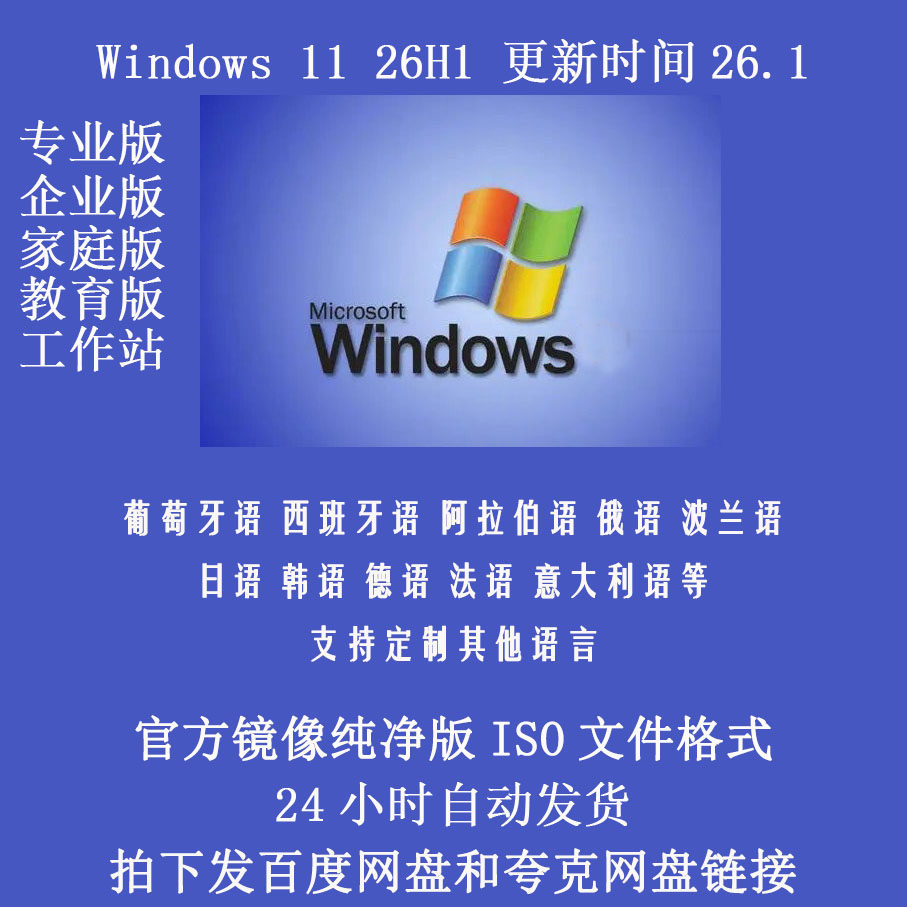 系统俄语韩语日语法语德文阿拉伯 纯净版 Windows11 26