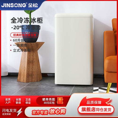 复古全冷冻小冰箱冷柜用立式冰柜
