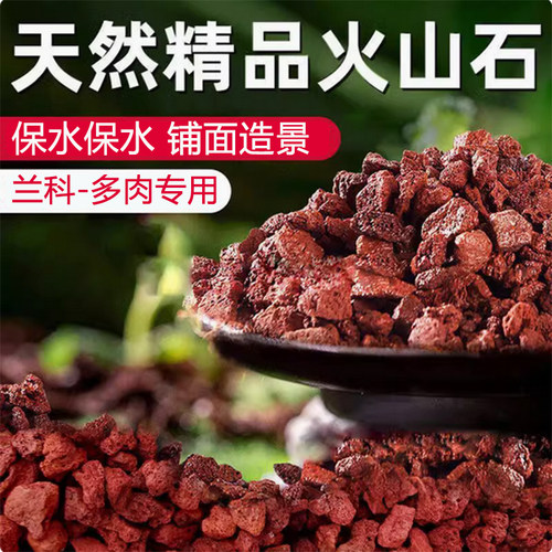 天然红火山石兰花植料多肉颗粒土水草泥铺面石鱼缸底砂滤材火山岩