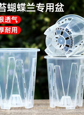 绿植水苔石斛高透明蝴蝶兰专用盆