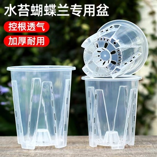 高透明青山控根盆绿植石斛水苔蝴蝶兰专用盆套盆兰花塑料花盆家用