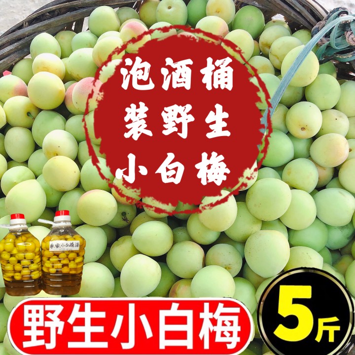 青梅果新鲜泡酒现摘诏安高山小白杏