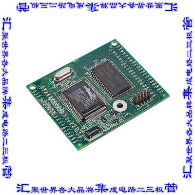 20-101-0405 集成电路芯片IC MOD RABBIT 2000 25.8MHZ 128KB