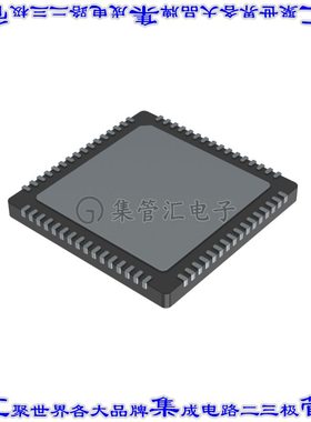 RAJ306010ZGNP#AAN 电机驱动器SYSTEM DRIVER芯片集成电路