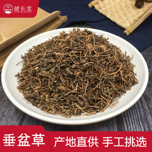 健长堂中药材 垂盆草50克佛甲草 佛指甲 瓜子草中药材店铺