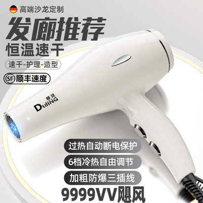 德国进口电吹风机家用大风力发廊专用6800w负离子护发速干风筒款