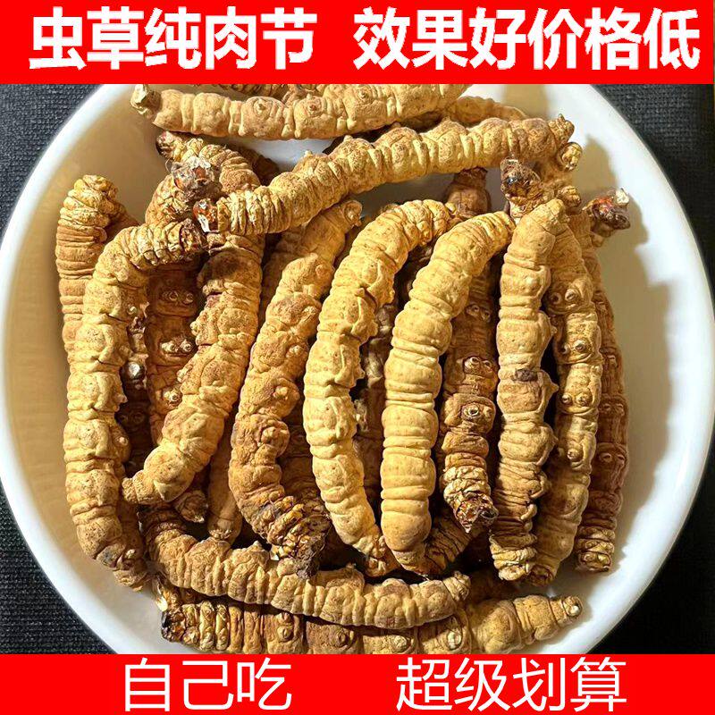 青藏高海拔正品冬虫夏草断冬虫草纯肉节自用