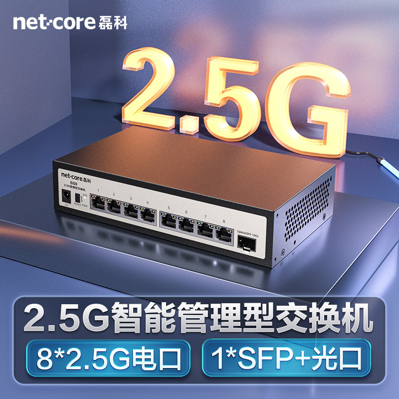 磊科2.5G交换机8口  万兆10G SFP光口WEB管理型向下兼容千兆家用安防监控网线NAS高速传输分流器即插即用GS9