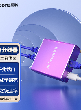 磊科网络分线器千兆网口一分二家用分流器交换机路由器分线器网线延长器Type-C供电口金属外壳Z12G