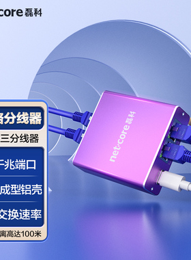 磊科网络分线器千兆网口一分三家用分流器交换机路由器分线器网线延长器Type-C供电口金属外壳Z13G