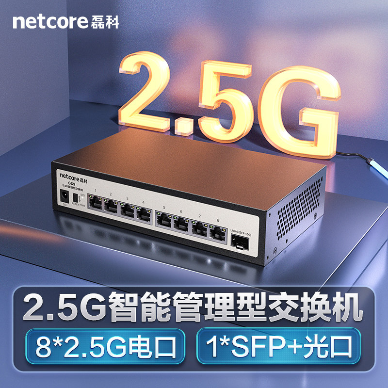 磊科2.5G交换机8口  万兆10G SFP光口WEB管理型向下兼容千兆家用安防监控网线NAS高速传输分流器即插即用GS9