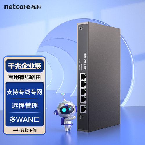 磊科NBR100企业级有线路由器千兆