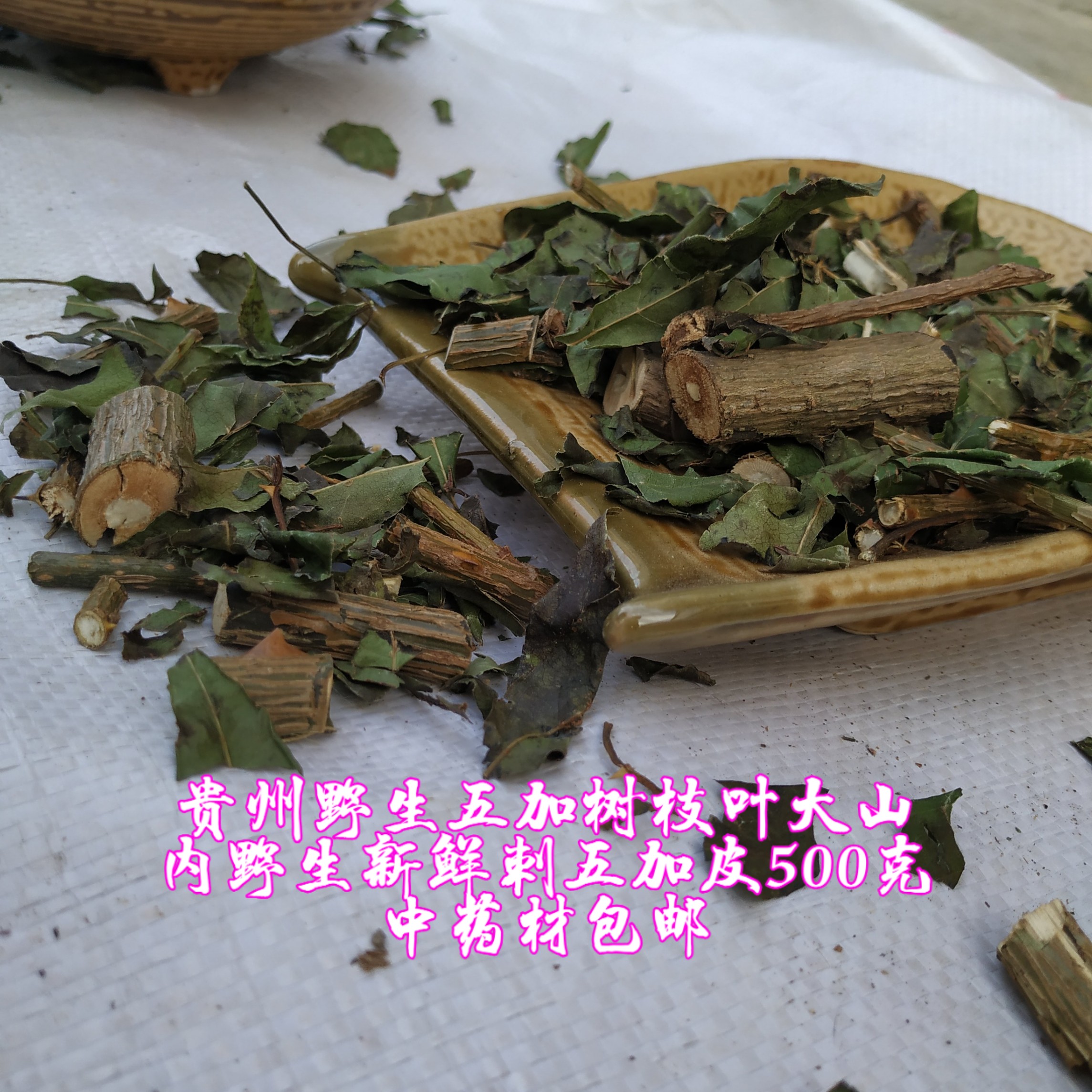 贵州省刺五加皮刺拐棒 一百针老虎潦中草药材新鲜500克包邮