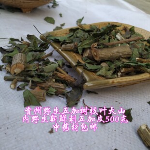 贵州省刺五加皮刺拐棒 一百针老虎潦中草药材新鲜500克包邮