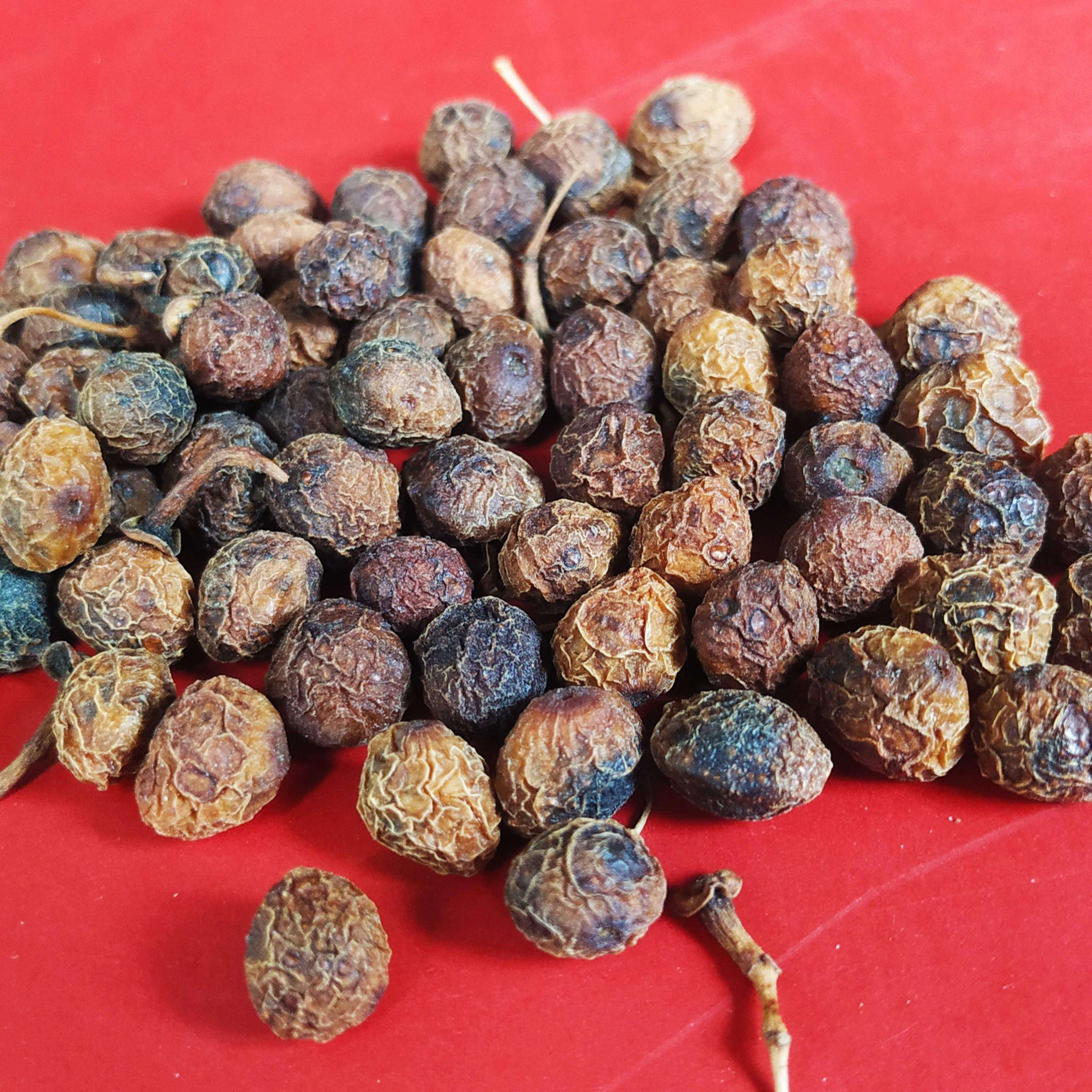 樟木籽250克包邮 贵州省中草药樟树子 香樟籽 樟木子 香樟树子