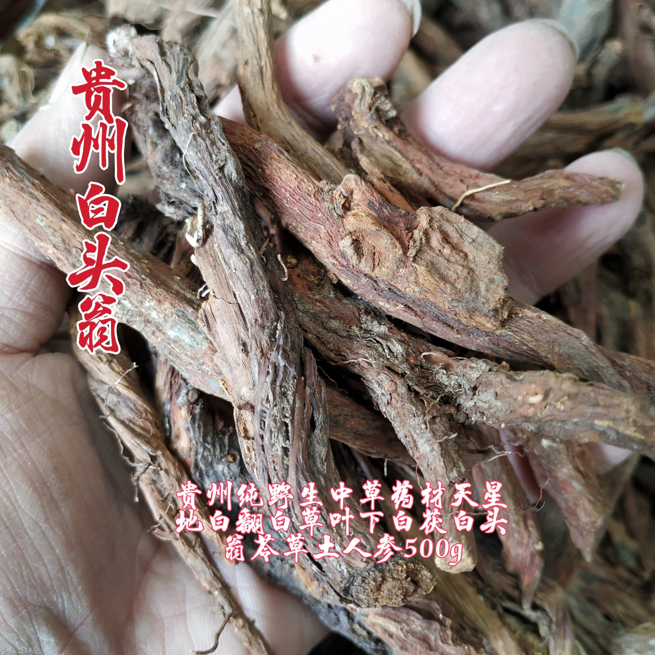 贵州省野生中草药材天星地白翻白草叶下白茯苓草土人参500g包邮,传统滋补营养品,传统滋补品其他,淘宝优惠券,粉丝福利购,淘宝优惠卷
