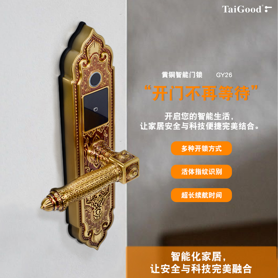 世连泰好黄铜材质欧式指纹门锁