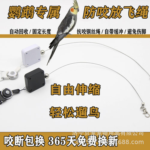 鹦鹉飞行不伤脚放飞绳牡丹玄凤大中小型鹦鹉多功能放飞绳外出遛鸟