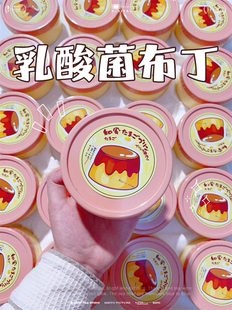 diy彩泥玩具儿童手工白露史莱姆 乳酸菌布丁 特殊质感肉弹水弹