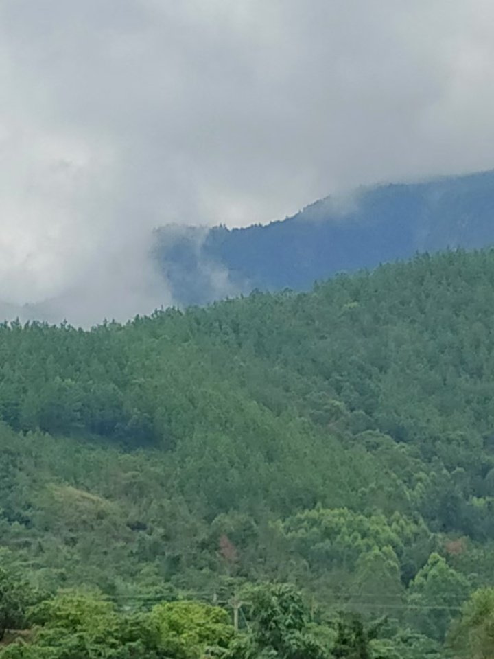 坐落于仙游县榜头镇双溪林场、坐落在仙游县钟山镇南湖村、坐落在仙游县榜头镇后南溪村、坐落在仙游县榜头镇芹山村的林权、林木资产