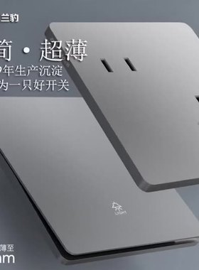 超薄二三插墙壁开关插座10A暗装灰色五孔插板一位usb家装面板D20