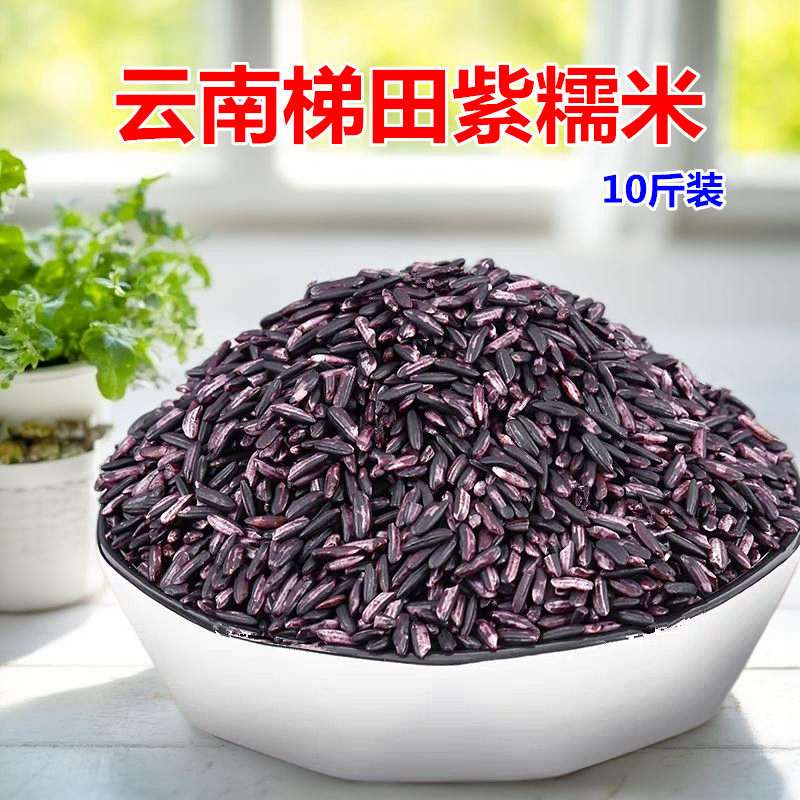 云南特产紫米红河梯田老品种紫糯米黑米血糯米清香软糯香糯5公斤
