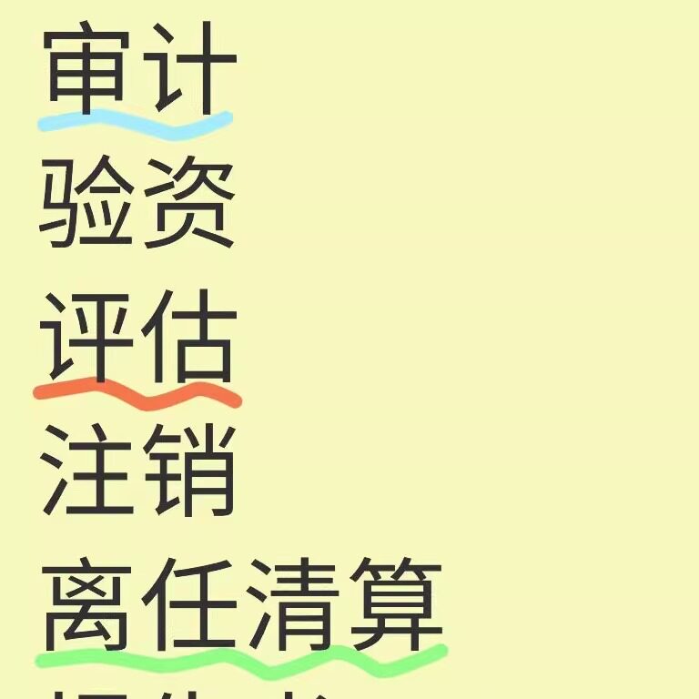财务审计移民资产房地产评估验资税务咨询清算报告代做所得税