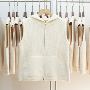 051号 复古无袖 100号 秋冬新款 叠穿坎肩 针织马甲背心女装 清仓