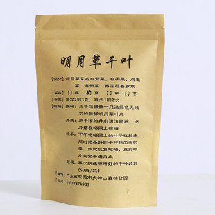 红茎明月草干叶鲜叶种苗金鸡毛草泰国神仙草白凤菜白背三七降糖草