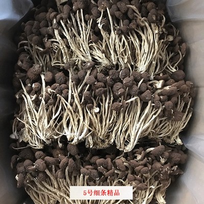 君志 2025新货江西广昌5号茶树菇干货500g包邮新鲜黑帽细条不开伞