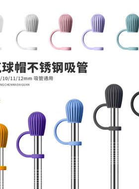 【新款热气球316不锈钢吸管】加长加厚30cm/32cm防尘帽金属吸管
