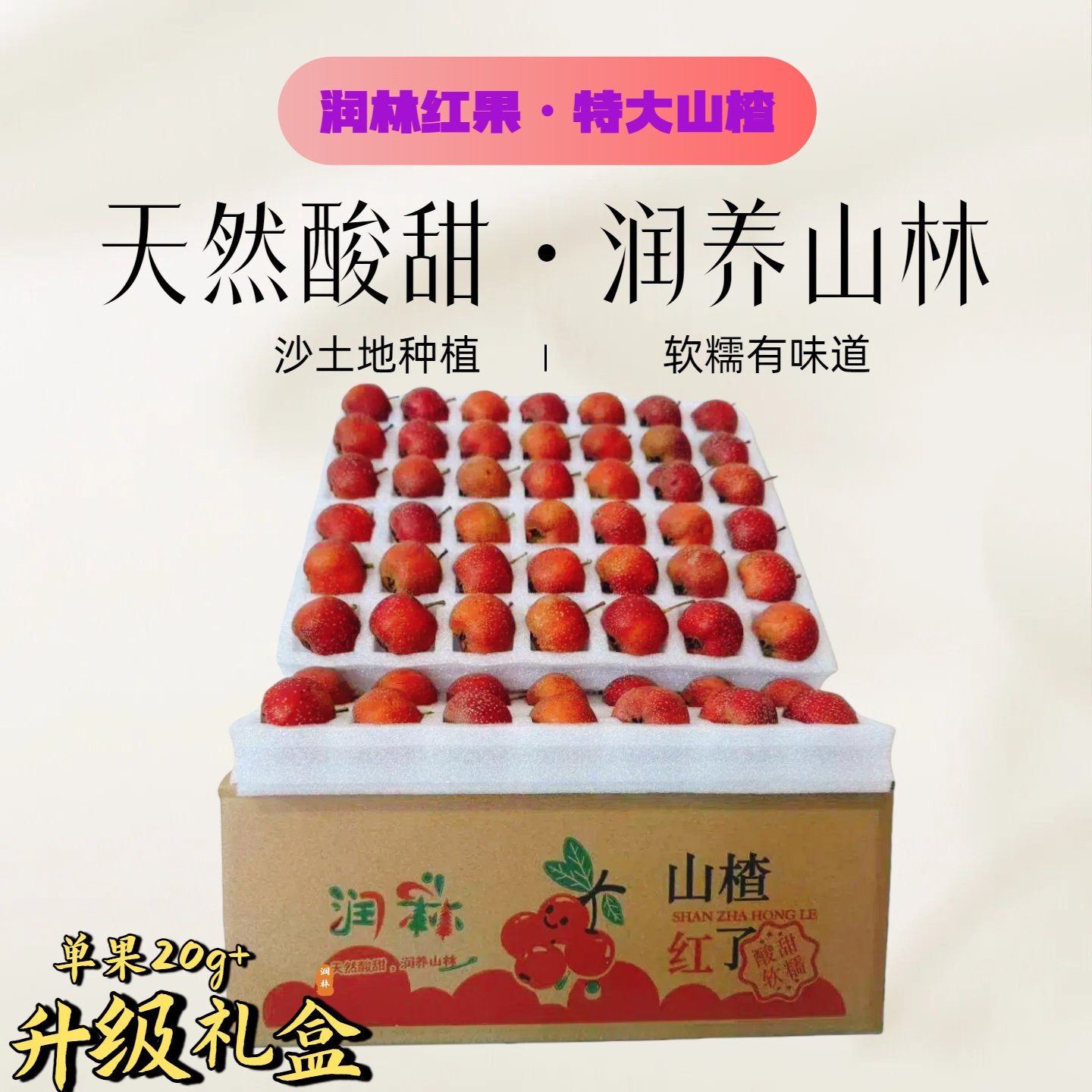 【只发特大山楂】2025年鲜果新鲜采摘现采现发京东送货上门