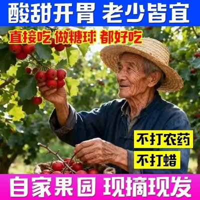 京东配送山东大金星山楂