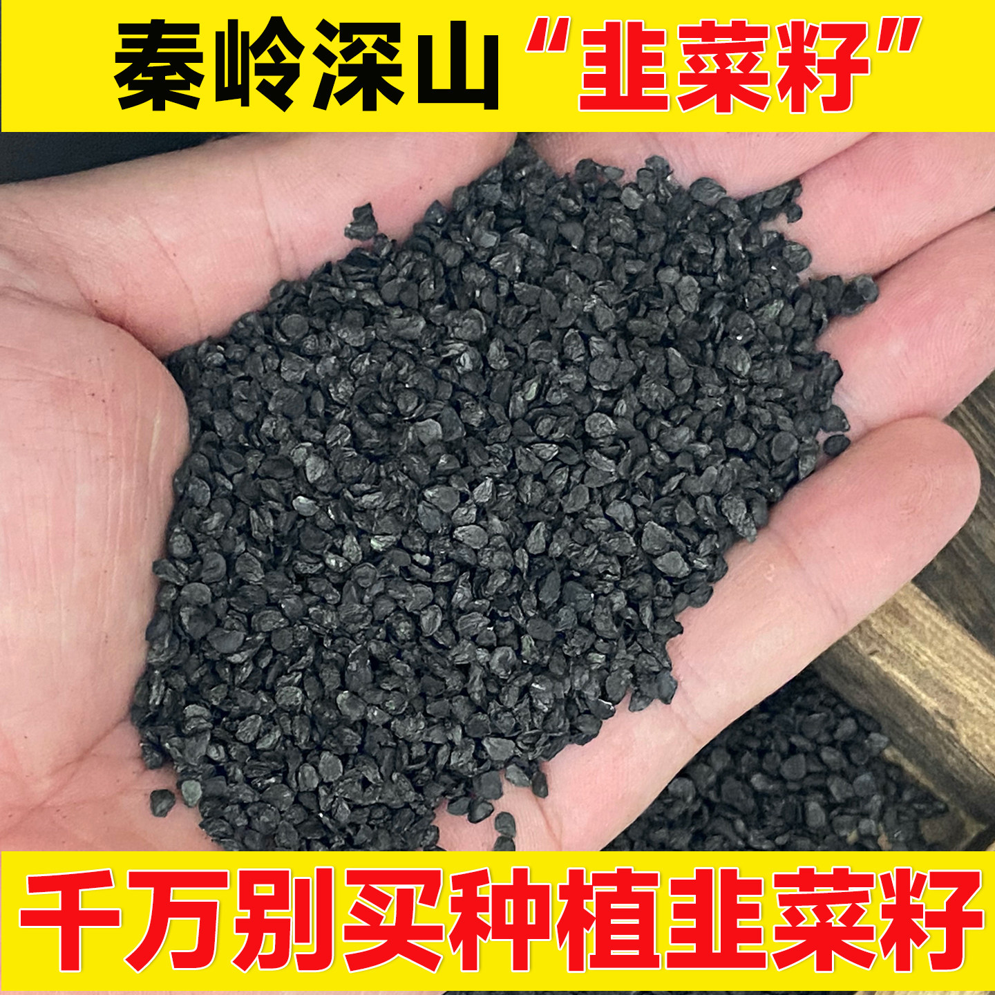 正品深山韭菜籽天然无硫精选干货