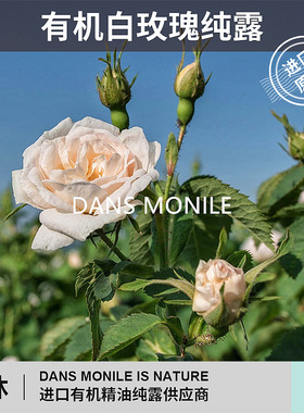 dans monile 进口有机白玫瑰纯露rose hydrosol补水亮肤 1kg