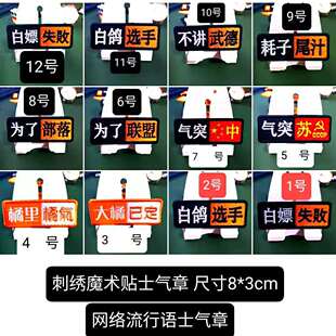 刺绣胸标臂章网络流行语贴章魔术贴微章定做十个以上全国包邮