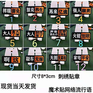 刺绣 胸标 臂章网络流行语贴章 魔术贴微章 定做十个以上全国包邮