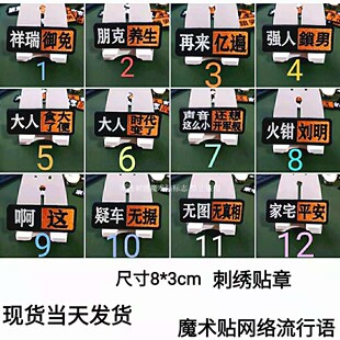 魔术贴微章 定做十个以上全国 胸标 包邮 臂章网络流行语贴章 刺绣