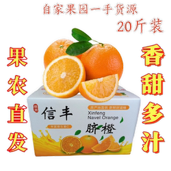 正宗赣南信丰脐橙 果农产地直发未受冻害 20斤手剥橙甜橙整箱包邮