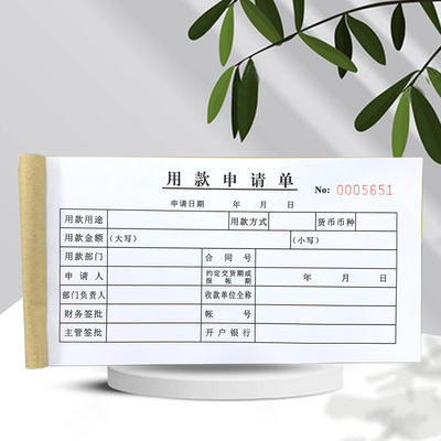 用款申请单借支单请款单付款审批单付款单申请单借款单报销单定制