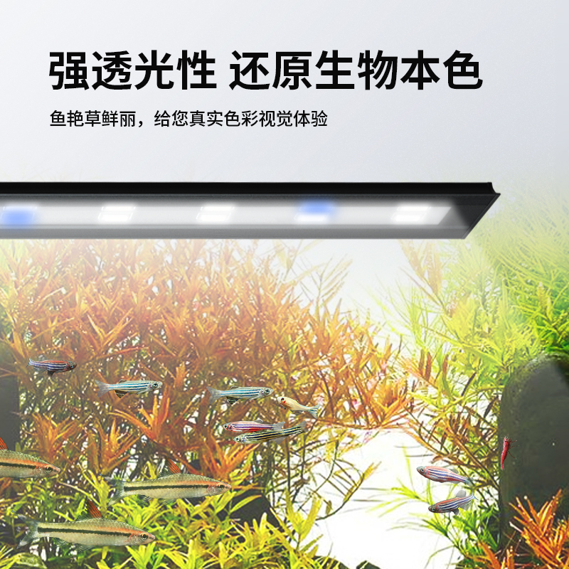 鱼缸灯led灯水族箱照明专用防水C灯潜水灯水草缸灯专业七彩 三基