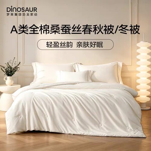 恐龙dinosuar桑蚕丝全棉A类秋冬四季被芯冬季子母被春秋厚被保暖